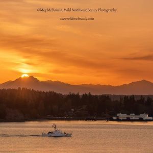 Meet your Posher, Jeffrey